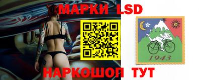 крисы Донской