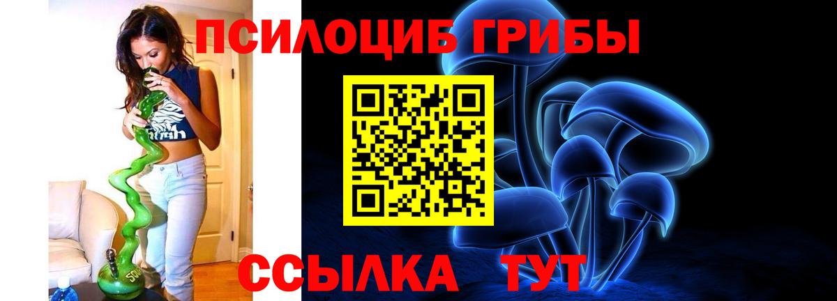 Псилоцибиновые грибы MAGIC MUSHROOMS Новосибирск